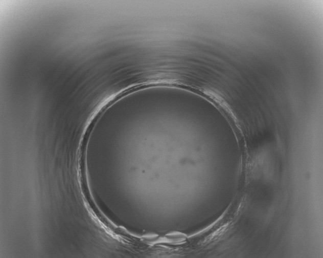 X0000054390941200508051644