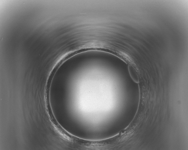 X0000054390942200508051644