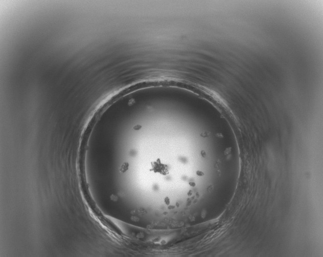 X0000054390943200508051644