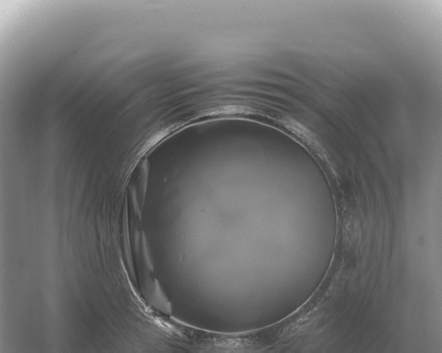 X0000054390945200508051644