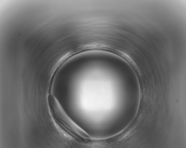 X0000054390946200508051644