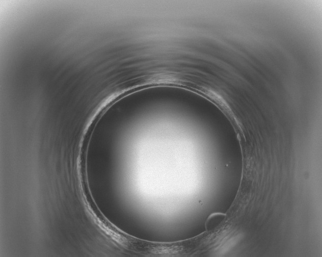 X0000054390947200508051644