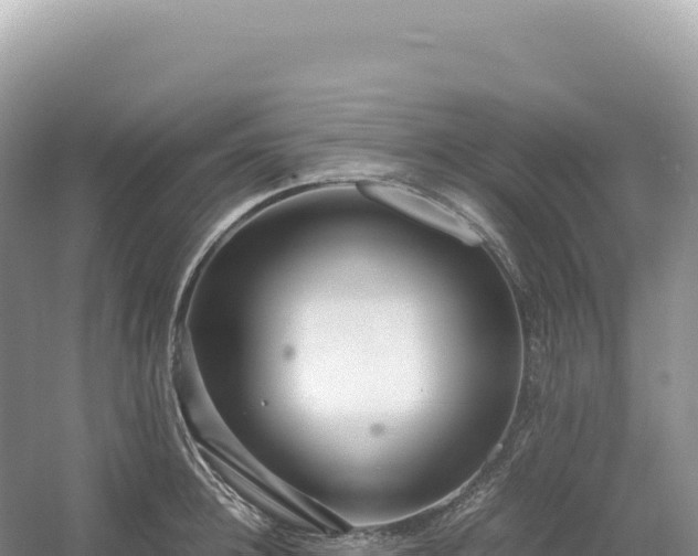 X0000054390948200508051644