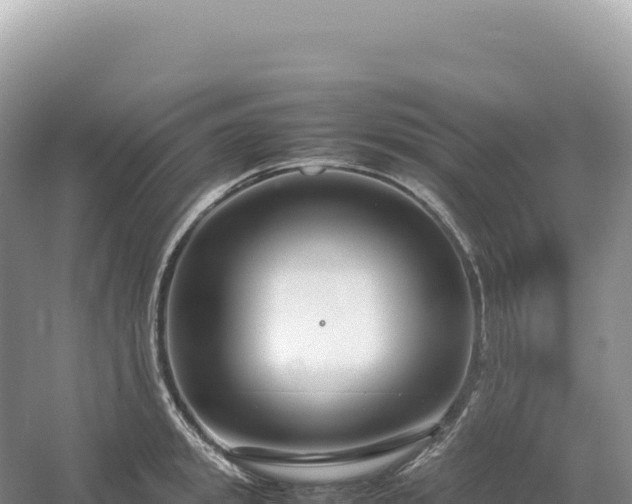 X0000054390949200508051644