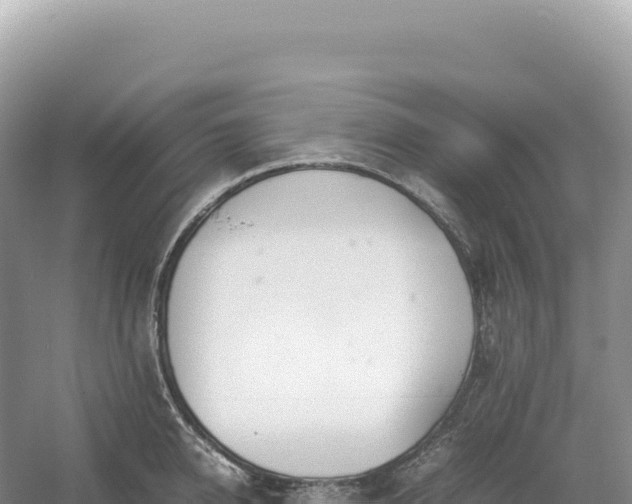 X0000054390950200508051644