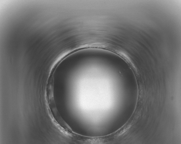 X0000054390952200508051644