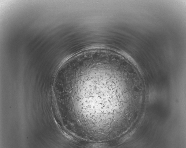 X0000054390953200508051644