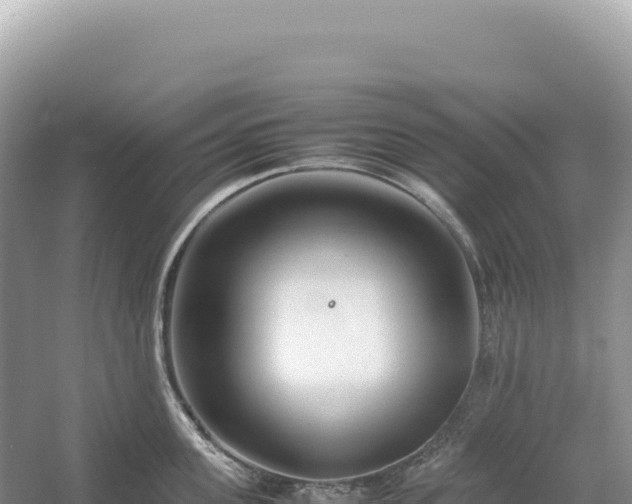 X0000054390955200508051644