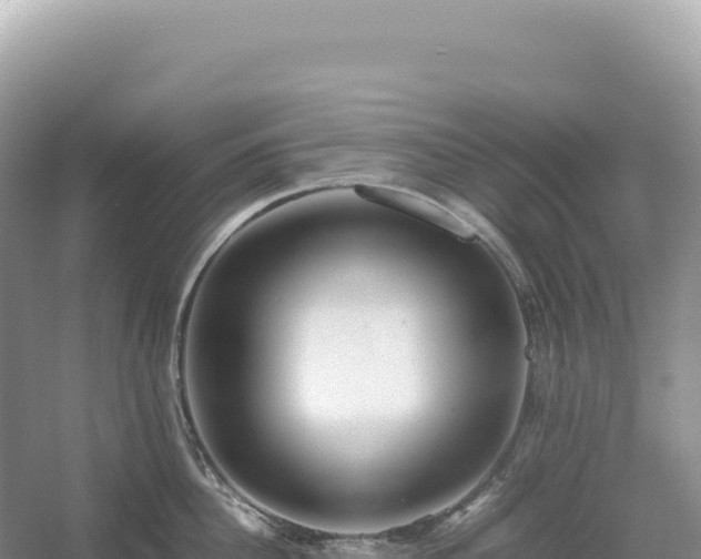 X0000054390956200508051644