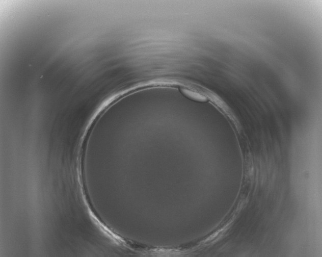 X0000054390958200508051644