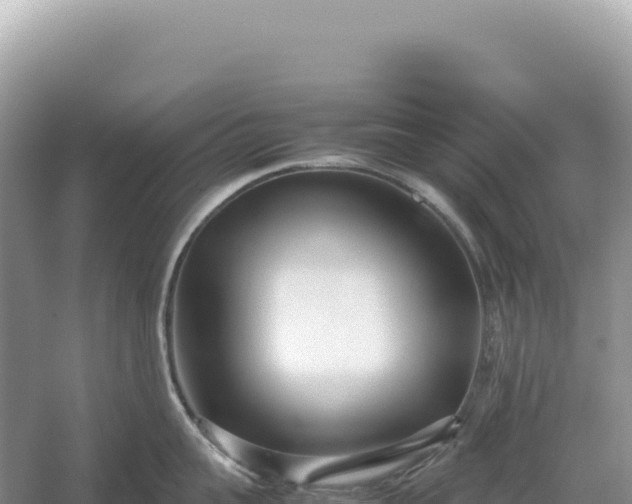 X0000054390959200508051644