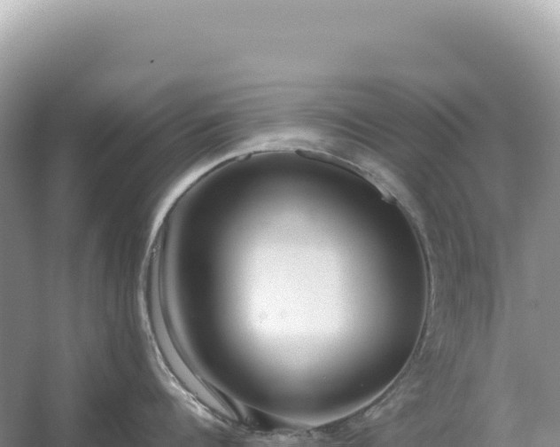 X0000054390960200508051644