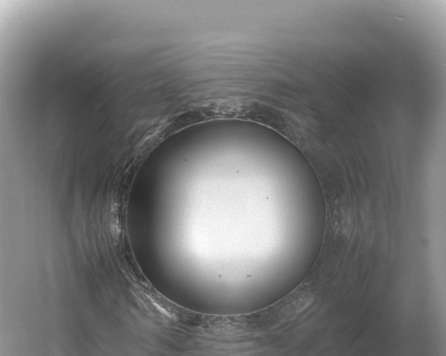 X0000054390962200508051643