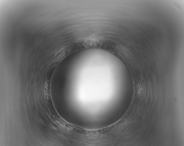 X0000054390964200508051643