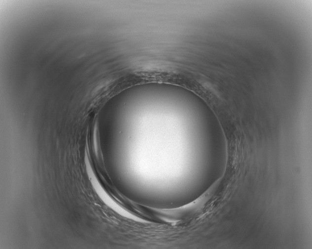 X0000054390965200508051643