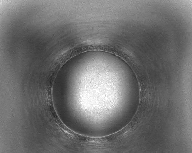 X0000054390966200508051643