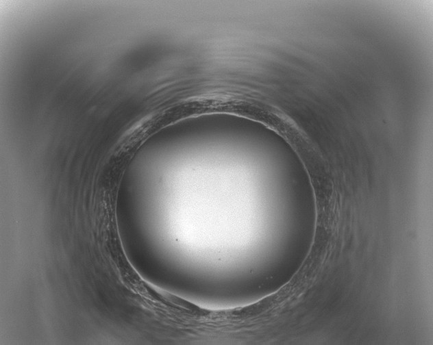 X0000054390967200508051643