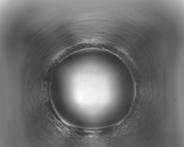 X0000054390968200508051643