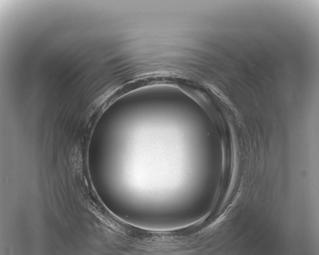 X0000054390969200508051643