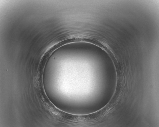 X0000054390971200508051643