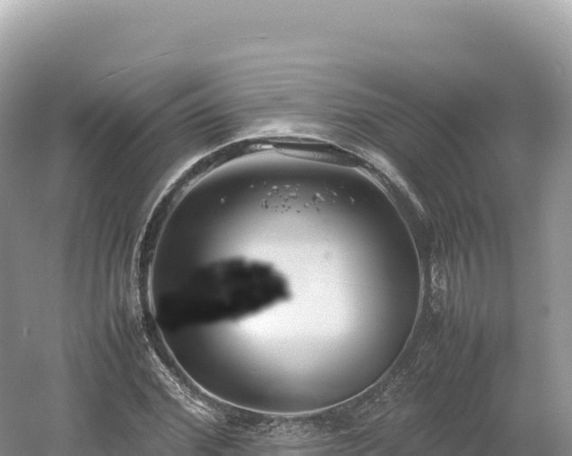 X0000054390972200508051643