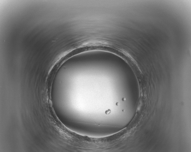 X0000054390973200508051643