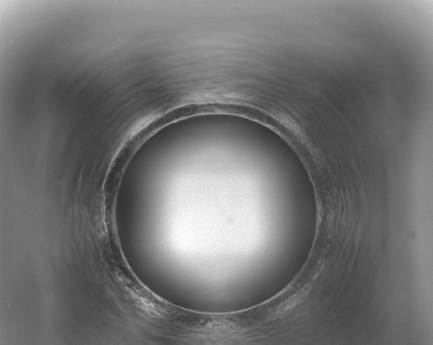 X0000054390974200508051643