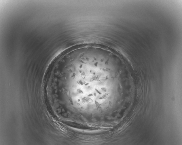 X0000054390975200508051643