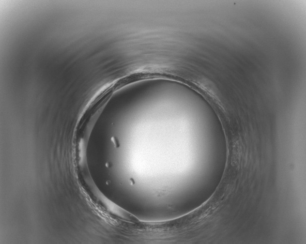 X0000054390976200508051643