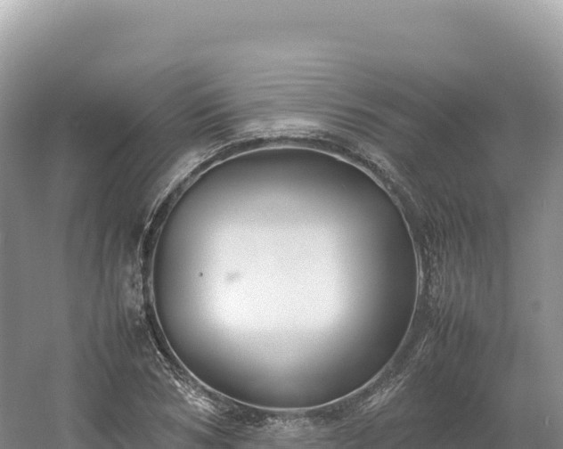 X0000054390978200508051643