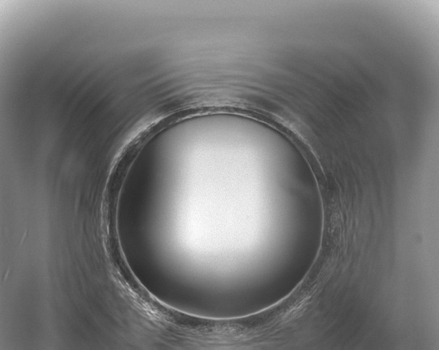 X0000054390979200508051643