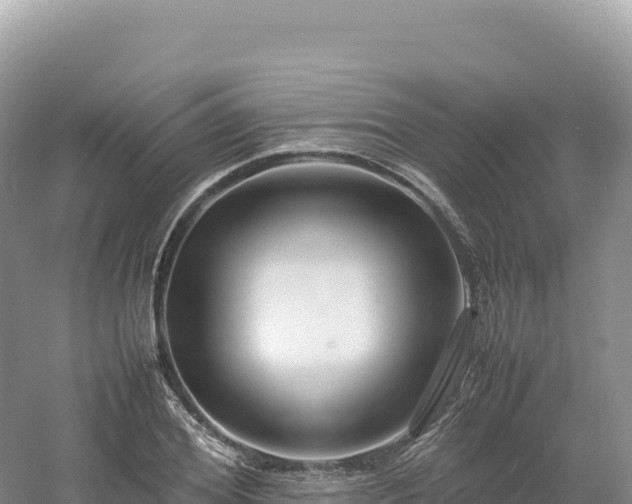 X0000054390980200508051643