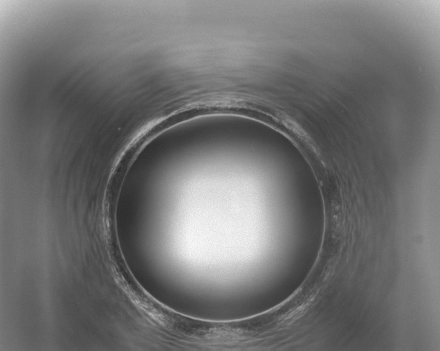 X0000054390981200508051643