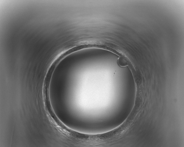 X0000054390983200508051643