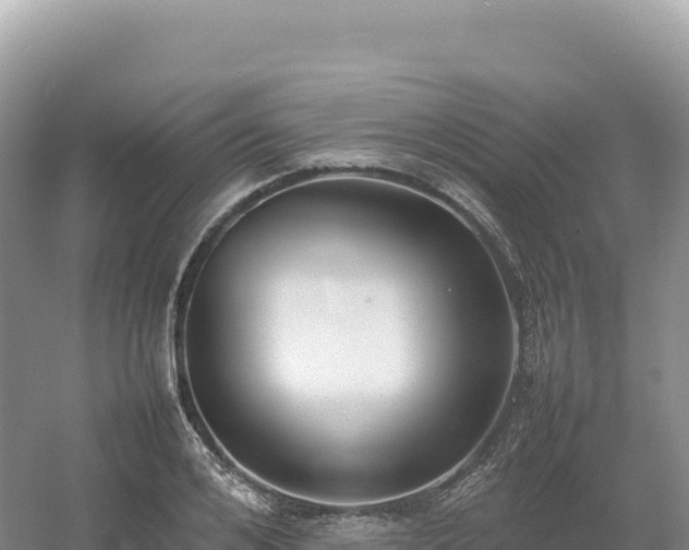 X0000054390984200508051643