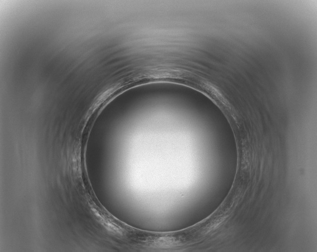 X0000054390986200508051643