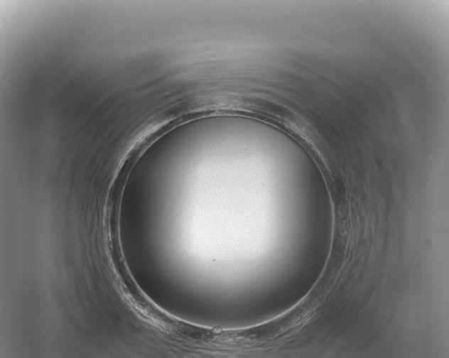 X0000054390987200508051643