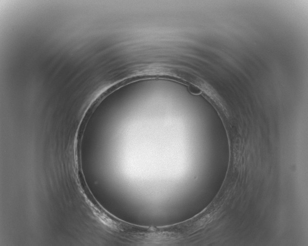 X0000054390988200508051643