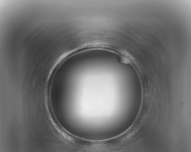 X0000054390989200508051643