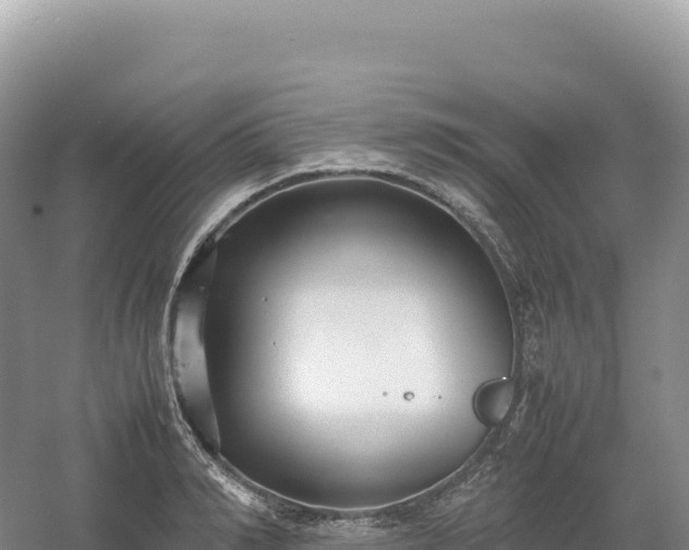 X0000054390990200508051643