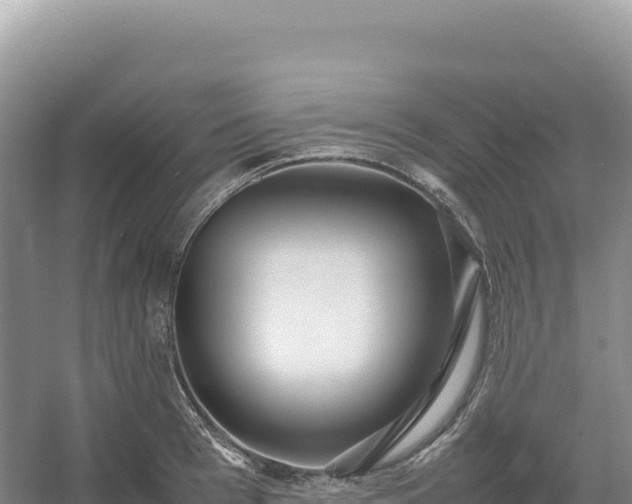 X0000054390993200508051643