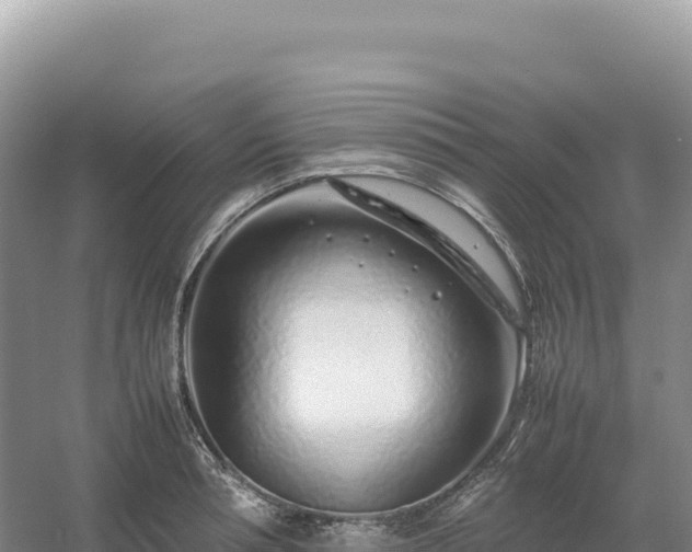 X0000054390994200508051643