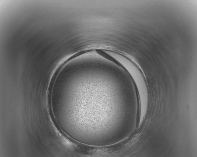 X0000054390995200508051643