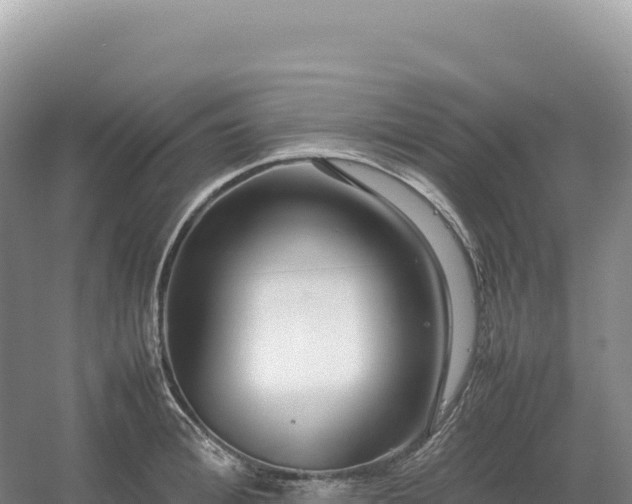 X0000054390996200508051643