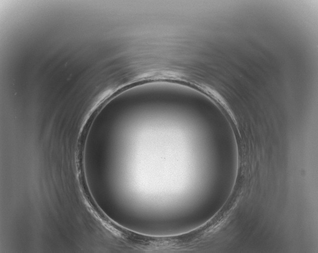 X0000054390997200508051643