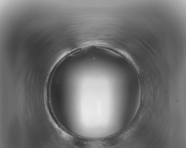 X0000054390999200508051642