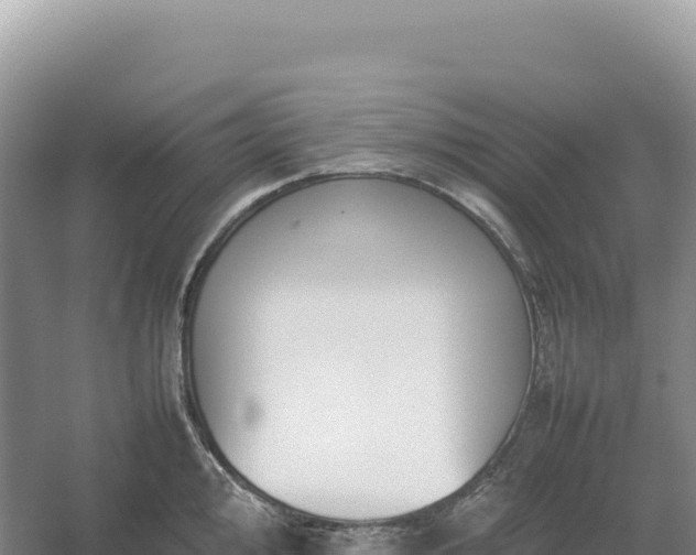 X0000054391000200508051642