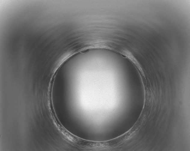 X0000054391002200508051642