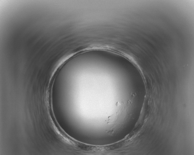 X0000054391003200508051642