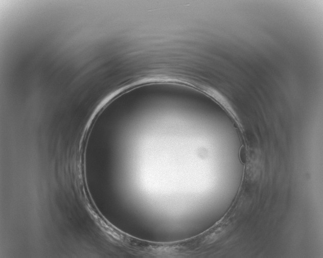 X0000054391004200508051642